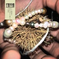 Radar Men From The Moon – The Bestial Light - Lp Vinile (nuovo)