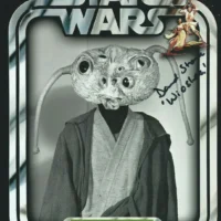 David Stone "Star Wars IV, A New Hope" hand signed photo 20x25cm foto autografata