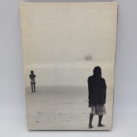 Gan Hosoya - The Wings of Image