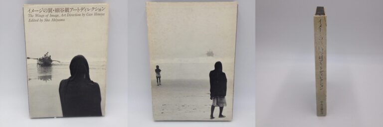 Gan Hosoya – The Wings of Image