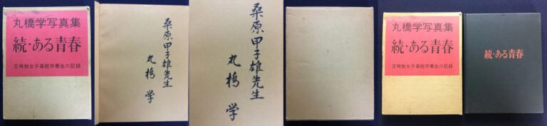 Manabu Maruhashi – A Sequel to The Springtime of Life (signed)