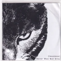 LESSNESS - NEVER WAS BUT GREY (cd promo stampa)
