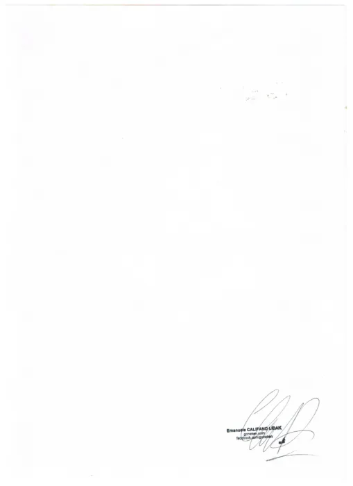 Ghost Rider tavola autografata da Emanule Califano Lidak limited edition