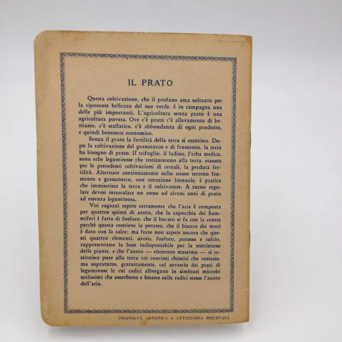Quaderno anni '40-'50 Il Prato disegno di Zueff