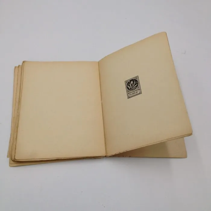 Erminio Robecchi-Brivio - L'adorabile nemica (1925)