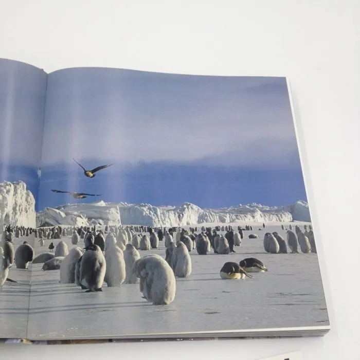 National Geographic. Il mondo (in un secolo di grandi immagini). Ediz. illustrata: K. Mulroy (Curatore) M. R. Koszorus (Curatore) L. Bendavid-Val (Curatore)