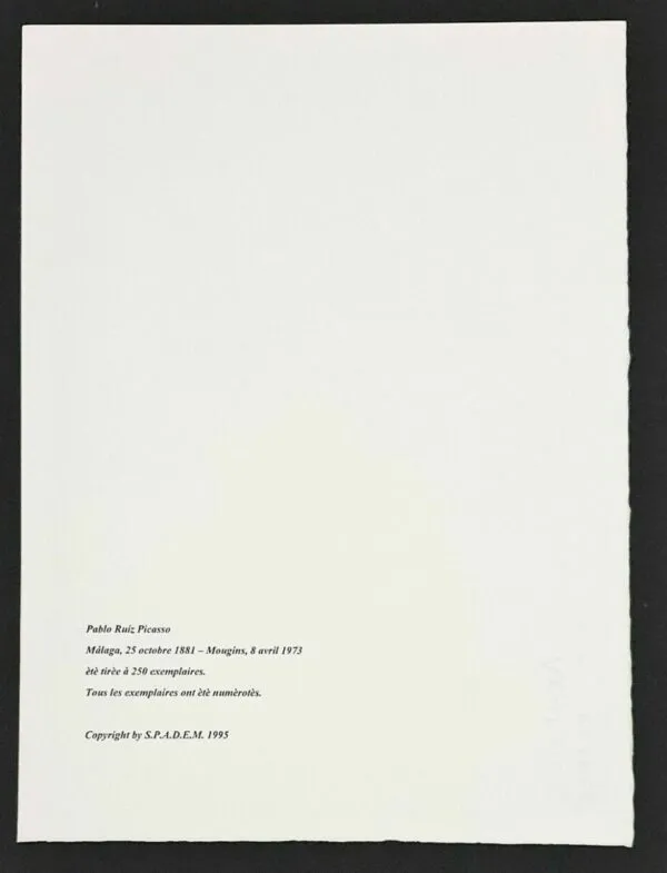 Stampa offset Pablo Picasso Edizione Limitata Spadem Parigi 90/250 - immagine 4