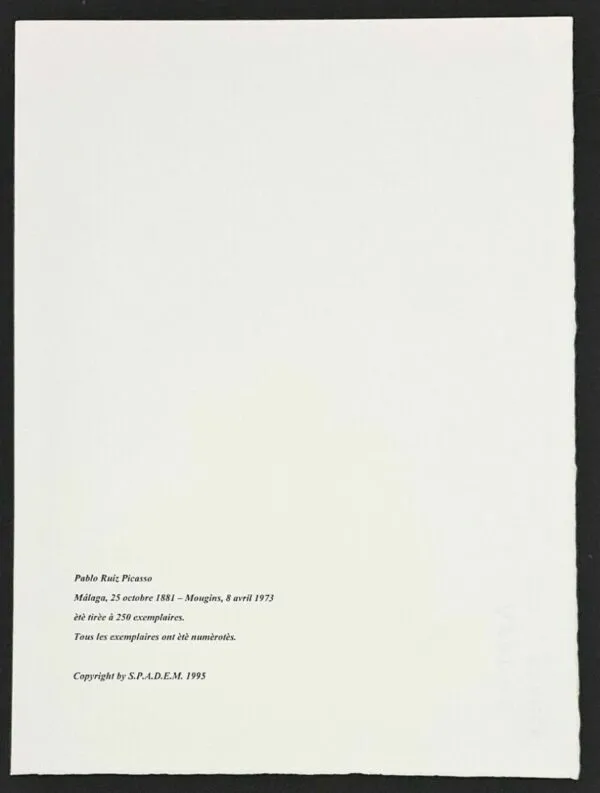 Stampa offset Pablo Picasso Edizione Limitata Spadem Parigi 99/250 - immagine 4