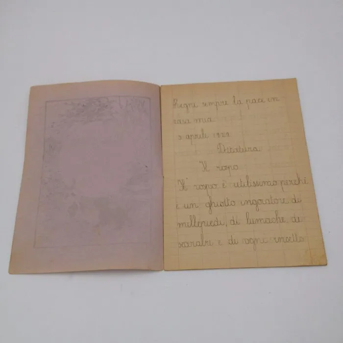 Quaderno anni '30 Lettura