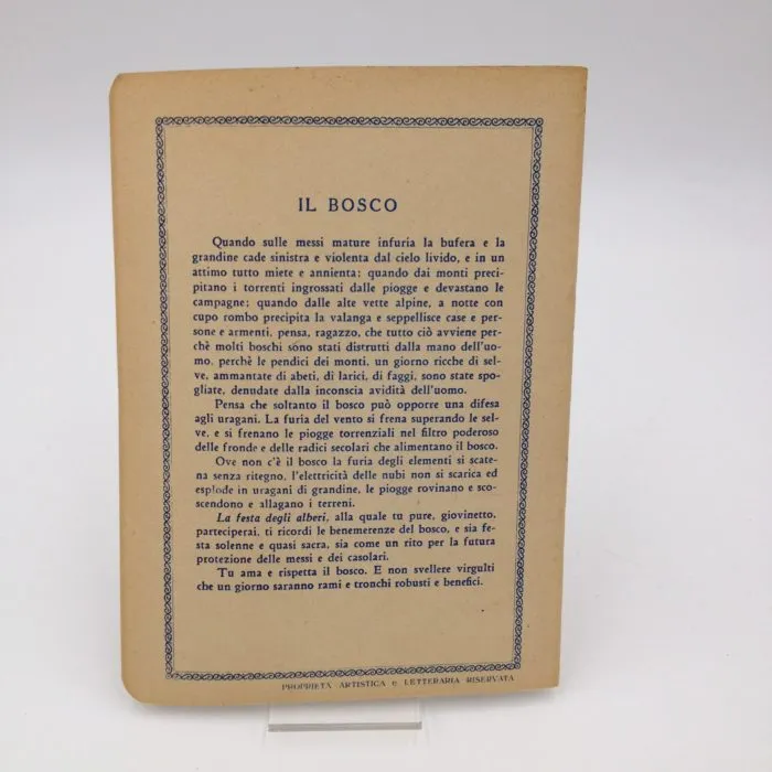 Quaderno anni '40-'50 Il Bosco disegno di Zueff