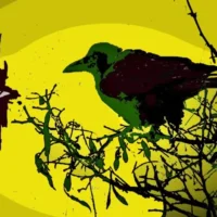 “The Crow” opera di John Efrem - open edition