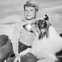 Jon Provost