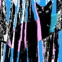 “The Black Cat" opera di John Efrem - open edition