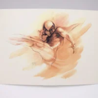 Stampa Tatsunoko hero di Tatsuo Yoshida Collector Box 2001 - 36x26cm