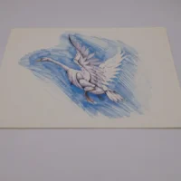 Stampa Tatsunoko hero di Tatsuo Yoshida Collector Box 2001 - 36x26cm