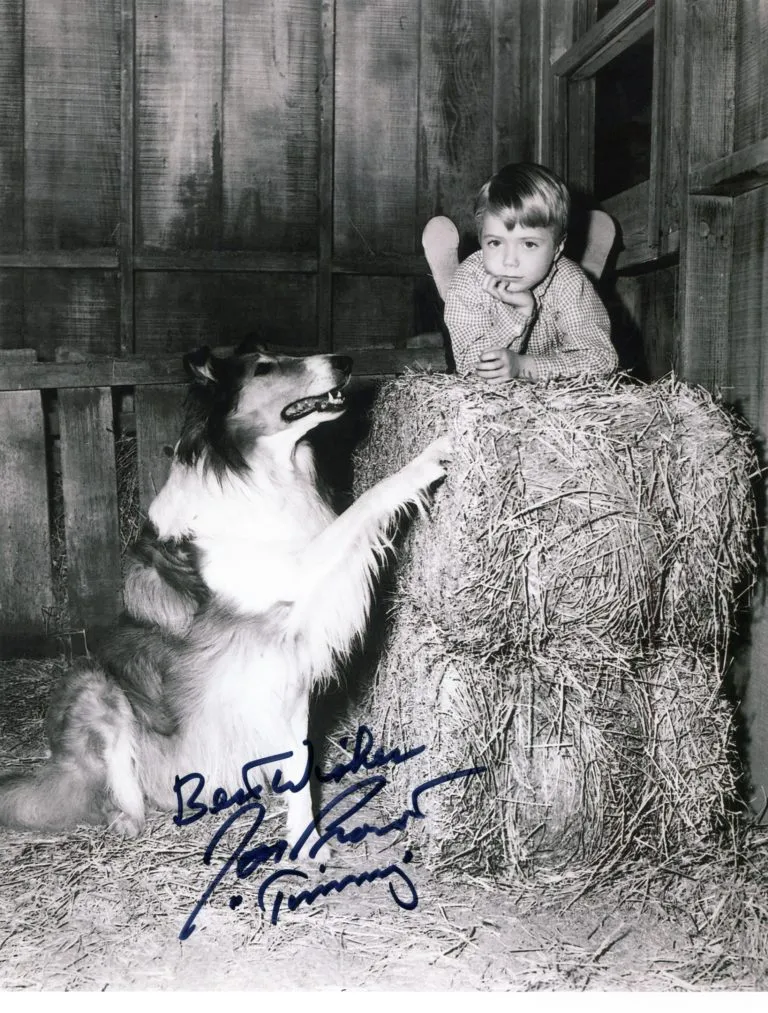 Jon Provost “Timmy in Lassie” hand signed photo 20x25cm foto autografata