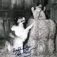Jon Provost "Timmy in Lassie" hand signed photo 20x25cm foto autografata