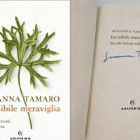 Invisibile meraviglia libro autografato da Susanna Tamaro