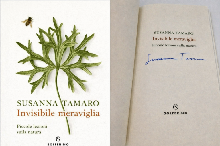 Invisibile meraviglia libro autografato da Susanna Tamaro