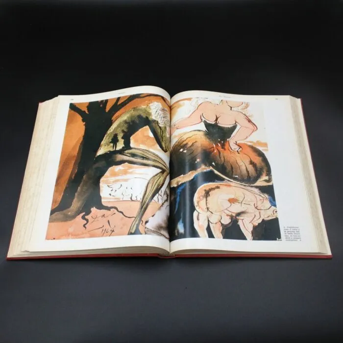 Don Chisciotte della Mancia con illustrazioni originali di Salvador Dalì