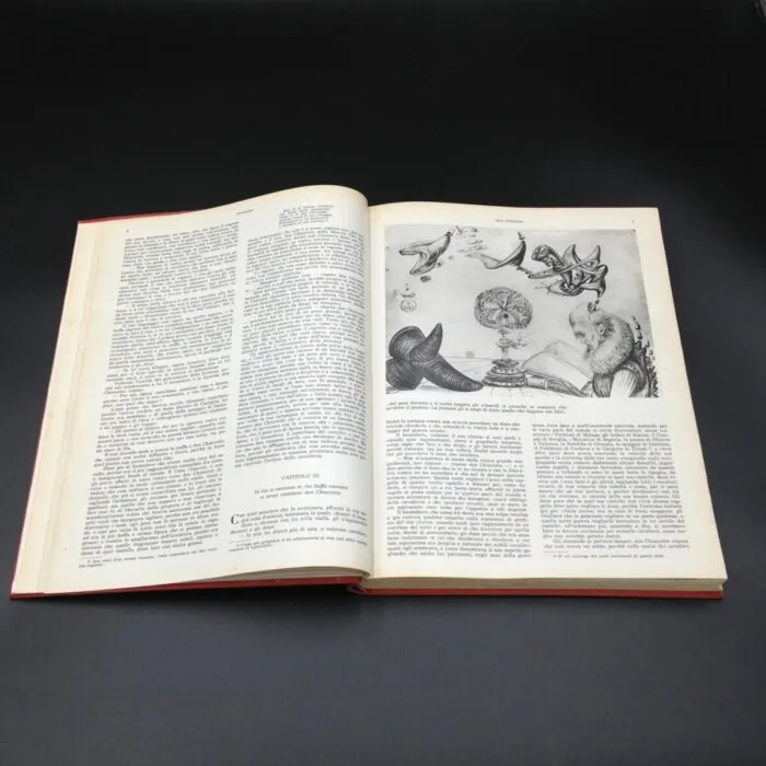 Don Chisciotte della Mancia con illustrazioni originali di Salvador Dalì