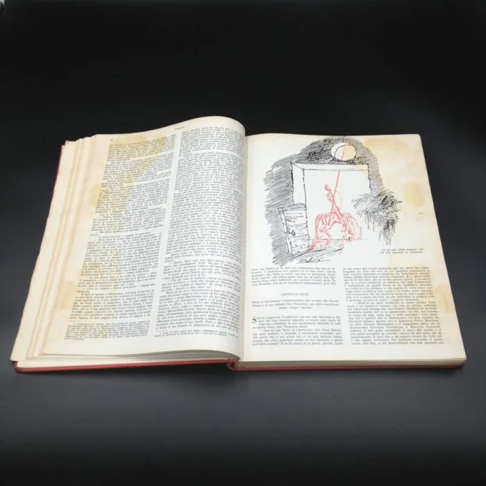 Don Chisciotte della Mancia con illustrazioni originali di Salvador Dalì