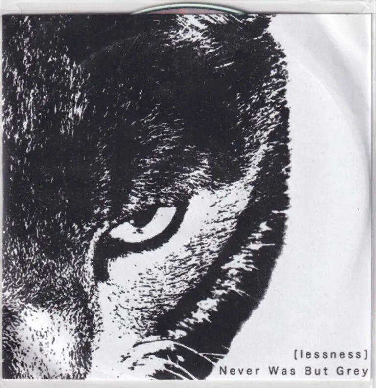 Nerve Was But Grey – [lessness] cd