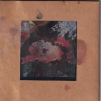 Emma Grace - Wild fruits and red cheeks (cd )