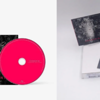 La Ragazza del Futuro autografato da Cesare Cremonini (Cd + Vinile  Verde)