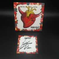 Sete di vita/Gigante Vinile Ed. Limitata 308/500 con card autografata da Piero Pelù