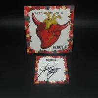 Sete di vita/Gigante Vinile Ed. Limitata 309/500 con card autografata da Piero Pelù
