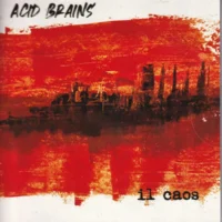 Acid brains - Il caos (cd )
