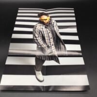 Nei sogni nessuno è monogamo - Dargen D’Amico (hand signed autografato) poster