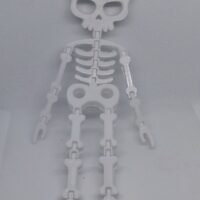Stampato in 3D - Scheletro