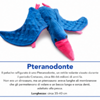 Pteranodonte peluche 35/40cm