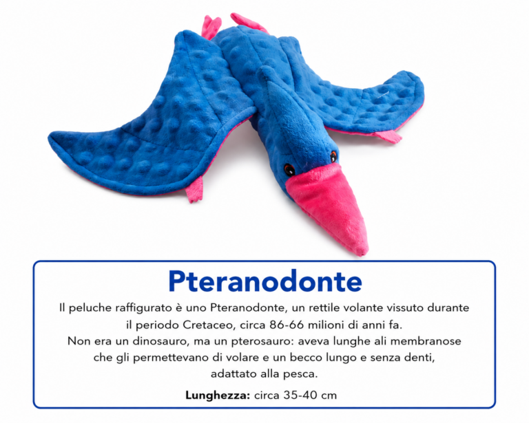 Pteranodonte peluche 35/40cm